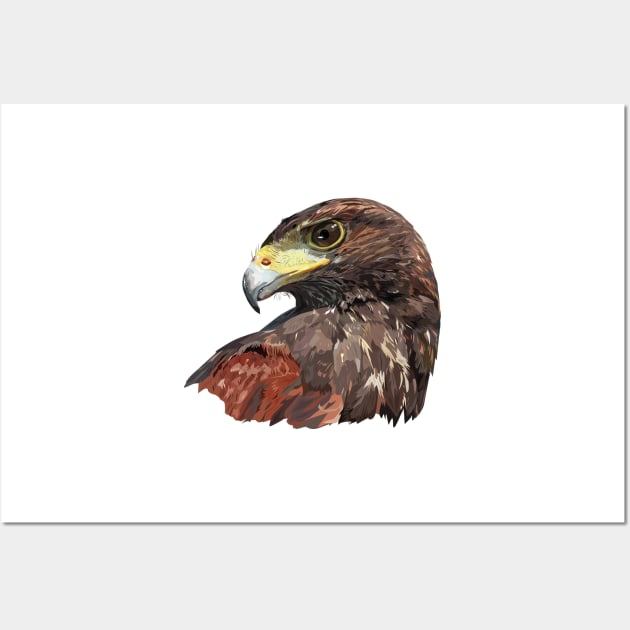 harris hawk Wall Art by obscurite